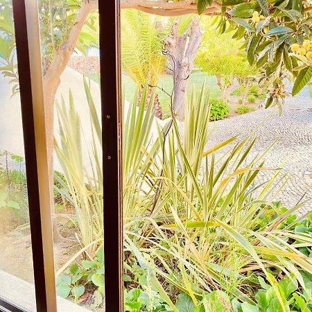 Albufeira Praia Sao Rafael Sun Apartment מראה חיצוני תמונה
