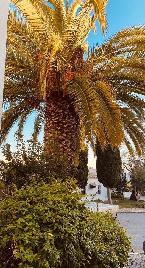 Albufeira Praia Sao Rafael Sun Apartment מראה חיצוני תמונה
